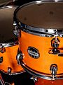 Mapex MM529SFOG